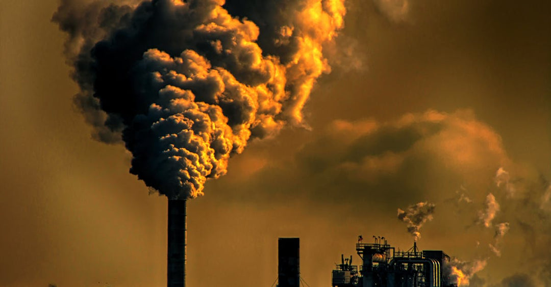 How Environmental Toxins Affect Male Fertility—And What You Can Do About It