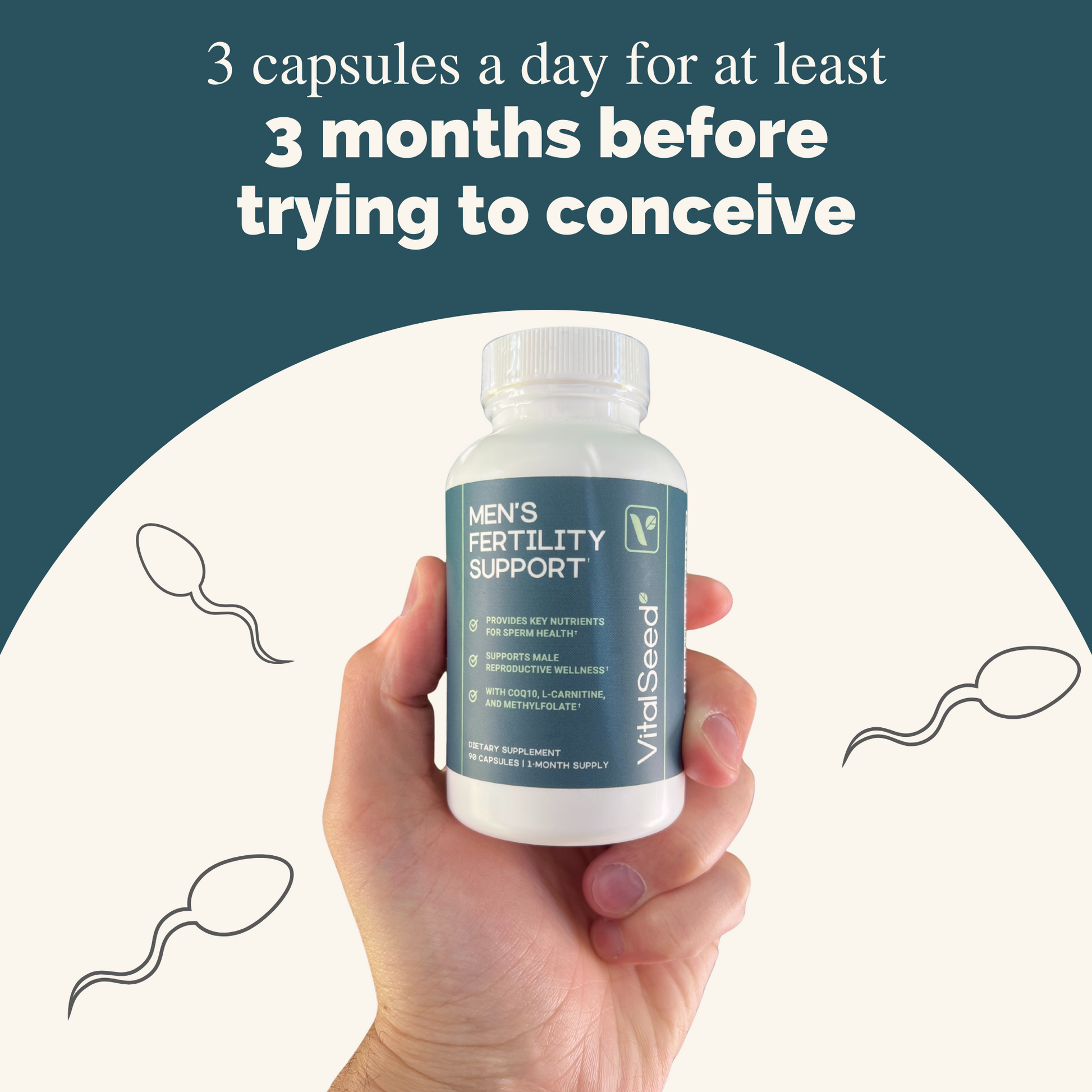 Vital Seed | Male Fertility Supplement for Conception