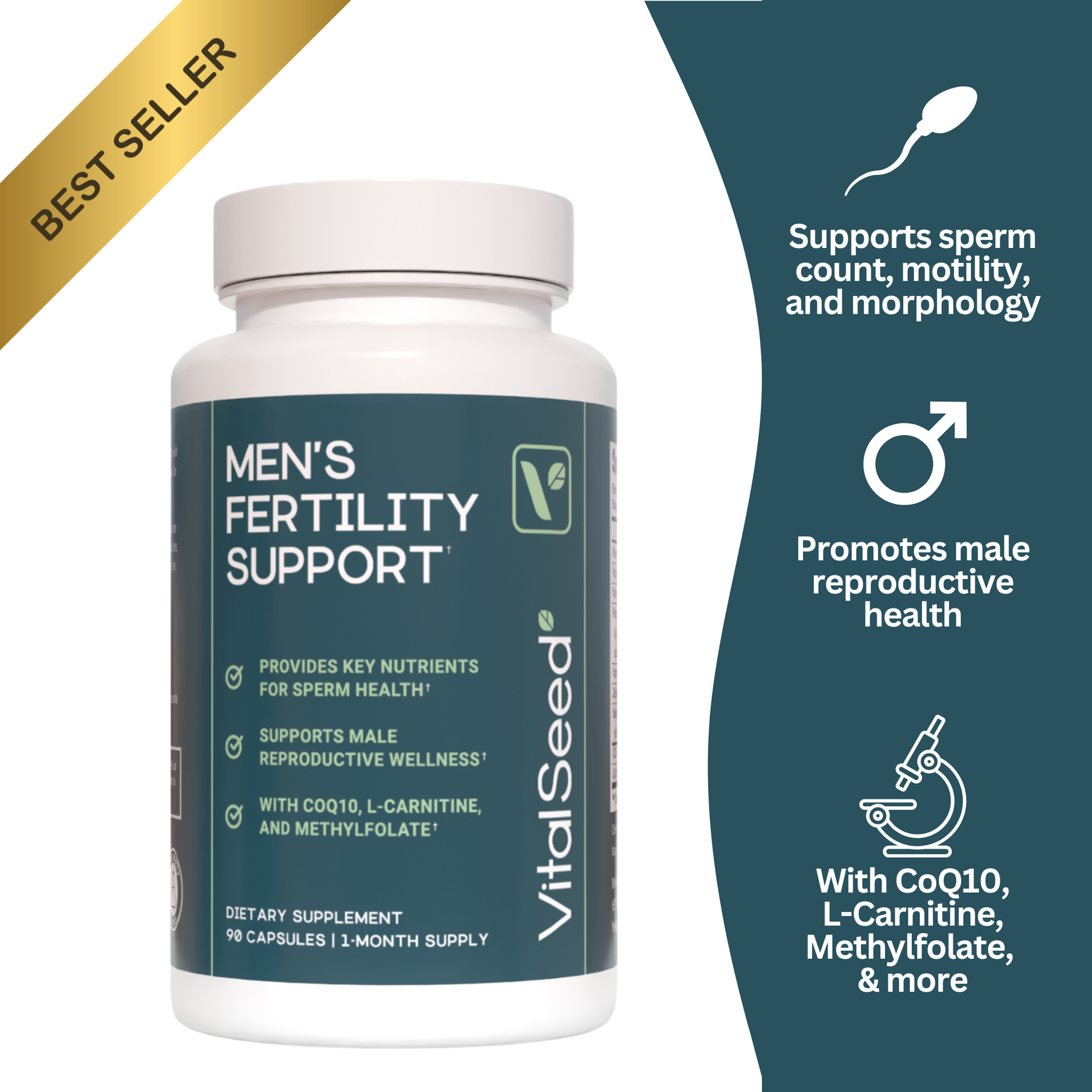Vital Seed | Male Fertility Supplement for Conception